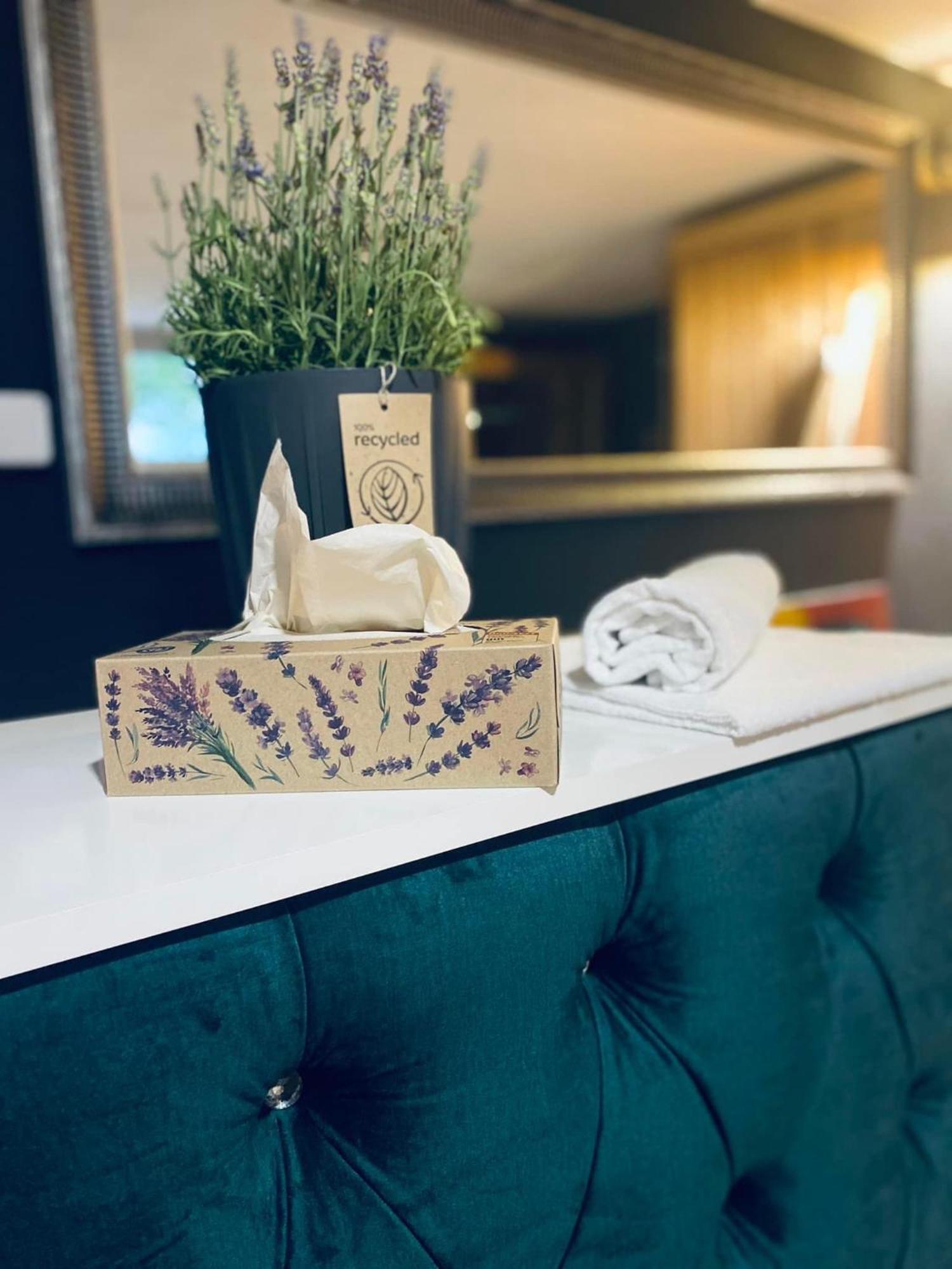 Rooms & Apartment Zala Airport Shuttle Option Cerklje na Gorenjskem Kültér fotó
